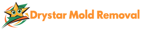 Drystar Mold Removal